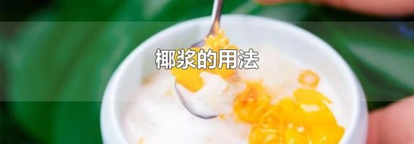 椰浆的用法