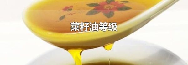 菜籽油等级