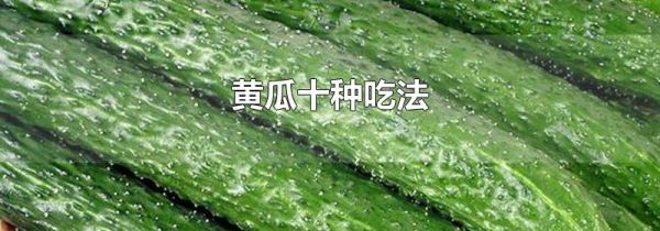 黄瓜十种吃法