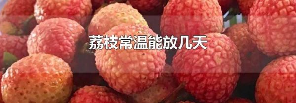 荔枝常温能放几天
