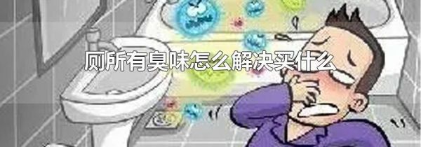 厕所有臭味怎么解决买什么