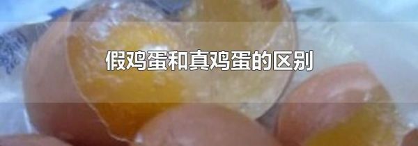 假鸡蛋和真鸡蛋的区别