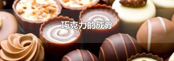 巧克力的成分