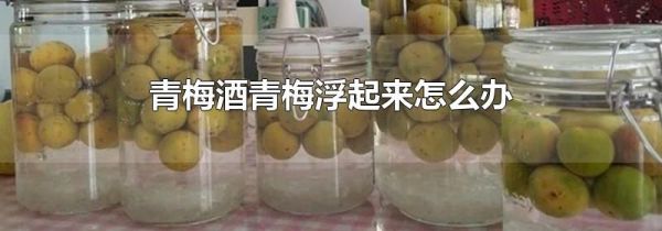 青梅酒青梅浮起来怎么办