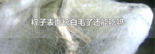 粽子表面长白毛了还能吃吗