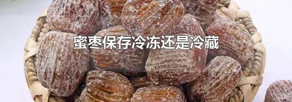 蜜枣保存冷冻还是冷藏
