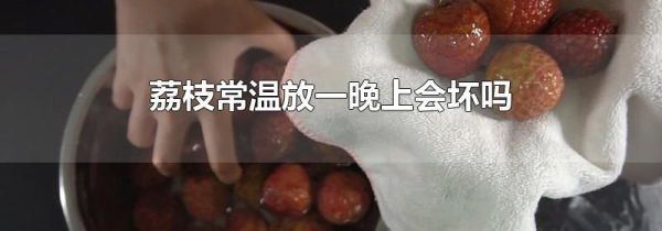 荔枝常温放一晚上会坏吗