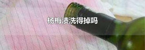 杨梅渍洗得掉吗