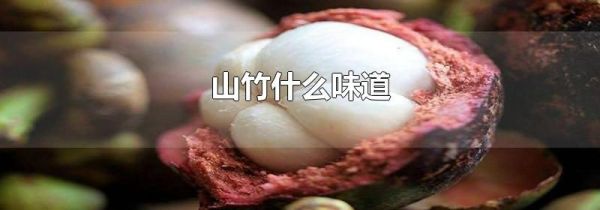 山竹什么味道