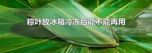 粽叶放冰箱冷冻后能不能再用