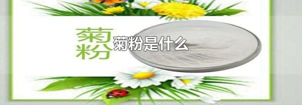 菊粉是什么