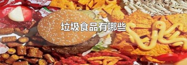 垃圾食品有哪些