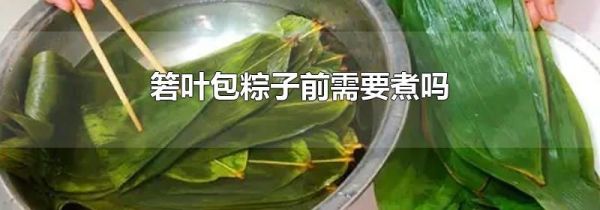 箬叶包粽子前需要煮吗