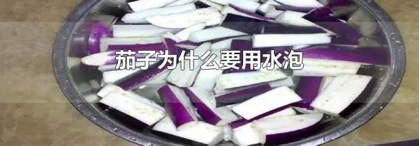 茄子为什么要用水泡