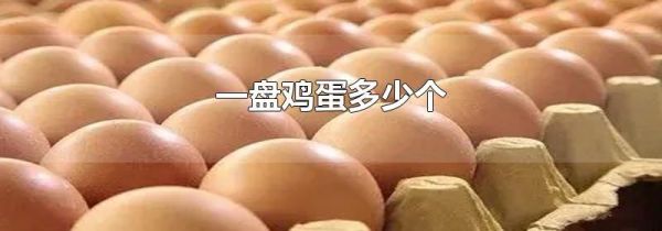 一盘鸡蛋多少个