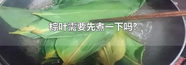 棕叶需要先煮一下吗?