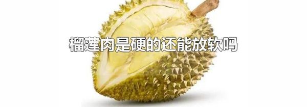 榴莲肉是硬的还能放软吗