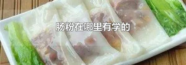 肠粉在哪里有学的