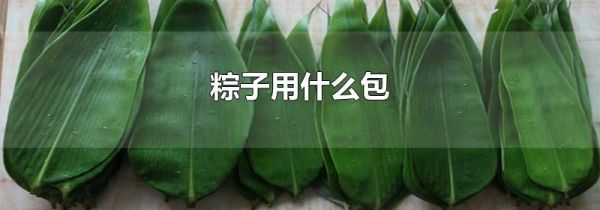粽子用什么包