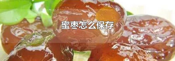 蜜枣怎么保存