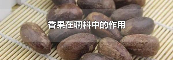 香果在调料中的作用