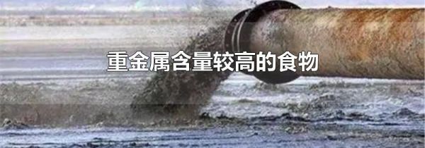 重金属含量较高的食物