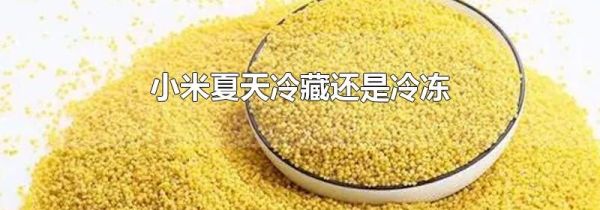 小米夏天冷藏还是冷冻