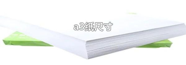 a3纸尺寸