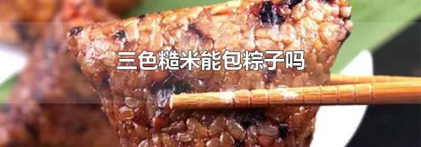 三色糙米能包粽子吗