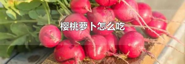 樱桃萝卜怎么吃