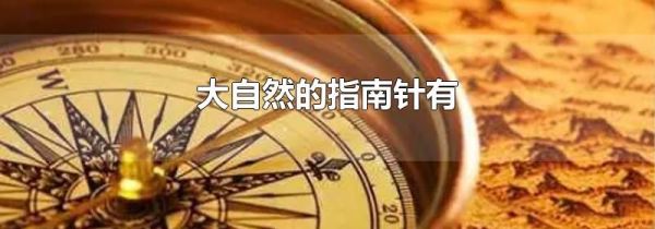 大自然的指南针有