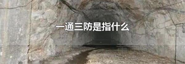一通三防是指什么