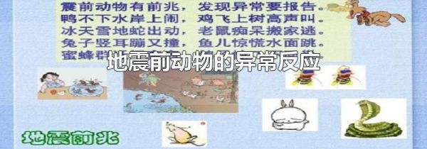 地震前动物的异常反应