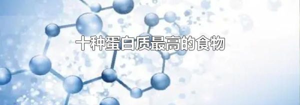 十种蛋白质最高的食物