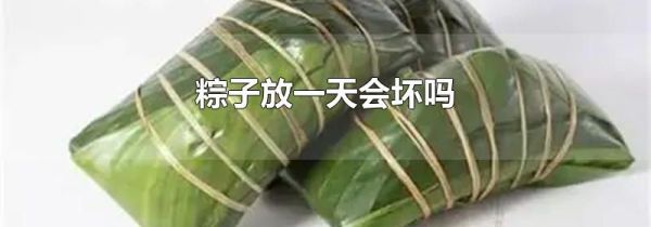 粽子放一天会坏吗