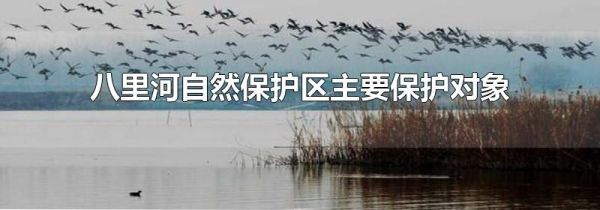 八里河自然保护区主要保护对象