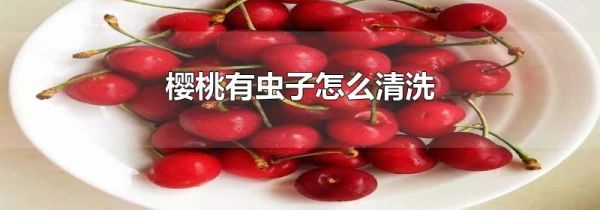 樱桃有虫子怎么清洗