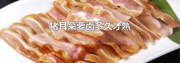 猪耳朵要卤多久才熟