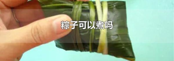 粽子可以煮吗
