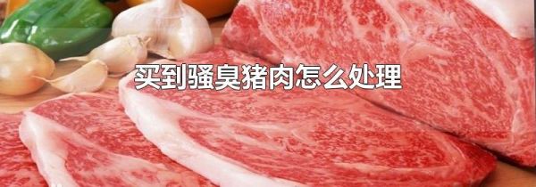 买到骚臭猪肉怎么处理