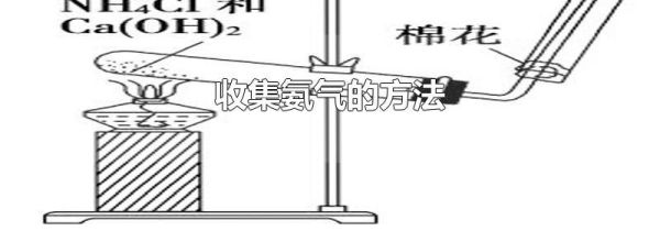 收集氨气的方法