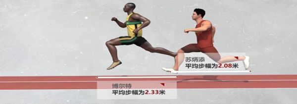 步幅与身高的关系