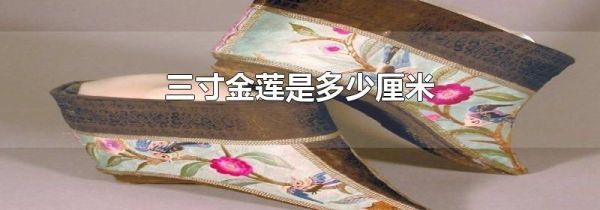 三寸金莲是多少厘米