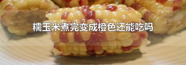 糯玉米煮完变成橙色还能吃吗