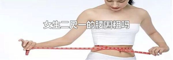 女生二尺一的腰围粗吗