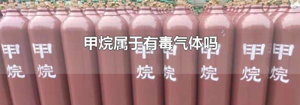 甲烷属于有毒气体吗