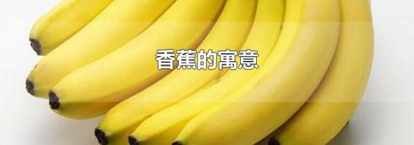 香蕉的寓意