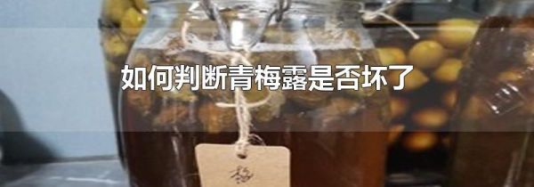 如何判断青梅露是否坏了