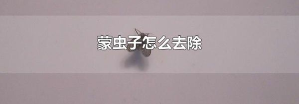 蒙虫子怎么去除