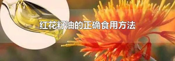 红花籽油的正确食用方法